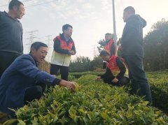 <b>市农产质量量平安核心开展“农安科普村落行暨</b>